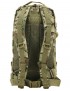 Small Molle Assault Pack 28ltr Rucksack