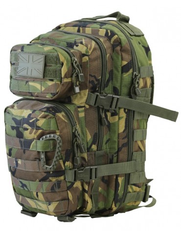 Small Molle Assault Pack 28ltr Rucksack