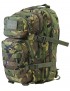 Small Molle Assault Pack 28ltr Rucksack