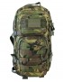 Small Molle Assault Pack 28ltr Rucksack