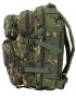 Small Molle Assault Pack 28ltr Rucksack