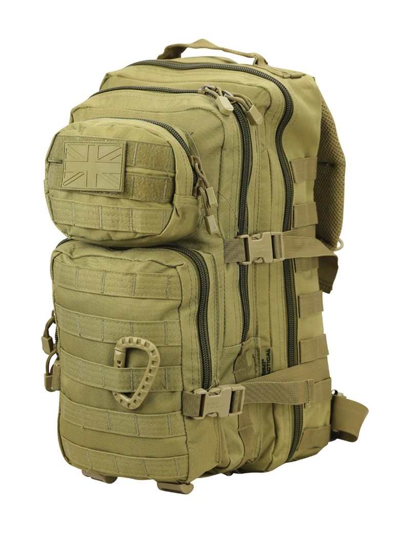 Small Molle Assault Pack 28ltr Rucksack