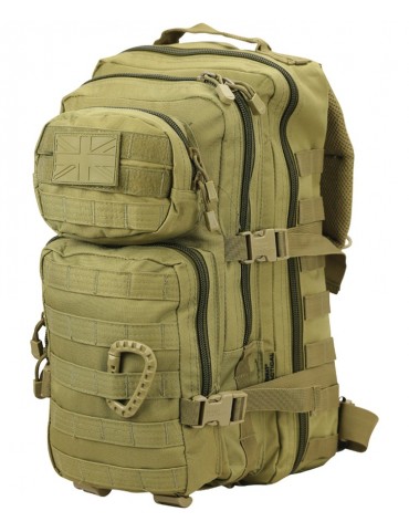 Small Molle Assault Pack 28ltr Rucksack