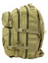 Small Molle Assault Pack 28ltr Rucksack