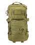 Small Molle Assault Pack 28ltr Rucksack