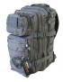 Small Molle Assault Pack 28ltr Rucksack